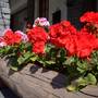 Горящие туры в отель Hotel Sarre  - 3