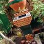 Горящие туры в отель Kampoeng Djawa Hotel  - 4