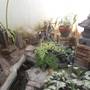 Горящие туры в отель Fortuna Guest House - 5