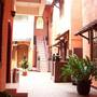 Горящие туры в отель Hotel Prapanca 8  - 1