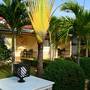 Горящие туры в отель Olivia Resort Serviced Apartments and Bungalows  - 6