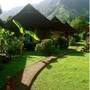 Горящие туры в отель Tauhanihani Village Lodge La Vague Bleue  - 1