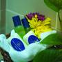 Горящие туры в отель Hotel Selesa Pasir Gudang  - 1