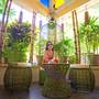 Горящие туры в отель Blue Lagoon Inn & Suites  - 2
