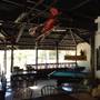 Горящие туры в отель Balay Tuko Garden Inn  - 1