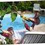 Горящие туры в отель Pension De La Plage  - 5