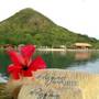 Горящие туры в отель El Rio y Mar Resort  - 2