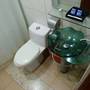 Горящие туры в отель A&A Plaza Hotel, Puerto Princesa - 4