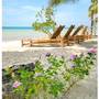Горящие туры в отель Amarela Resort - 2