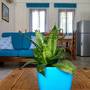 Горящие туры в отель Azzurro Luxury Holiday Villas - 2