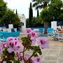 Горящие туры в отель Azzurro Luxury Holiday Villas - 3