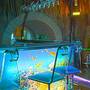 Горящие туры в отель Marina Frapa - Hotel Otok  - 3