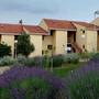 Горящие туры в отель Apartments Tisno Hostin  - 4