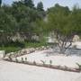 Горящие туры в отель Apartments Pralija Mile  - 6