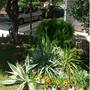 Горящие туры в отель Santa Chiara Apartments  - 1