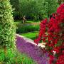 Горящие туры в отель Tourist Resort Velaris  - 3