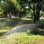 Горящие туры в отель Cirali Almira Bungalow  - 6