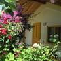 Горящие туры в отель Blue Paradise Pension  - 1