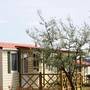 Горящие туры в отель Aminess Sirena Campsite - 4