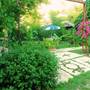 Горящие туры в отель Arya Holiday Houses  - 5
