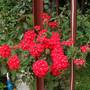 Горящие туры в отель Arya Holiday Houses  - 4