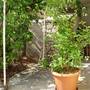 Горящие туры в отель Apartments Jakobina  - 6