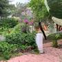 Горящие туры в отель Ipek Hotel Camyuva  - 3