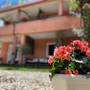 Горящие туры в отель Apartments Tajana  - 1