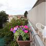 Горящие туры в отель Apartments Sobota  - 4