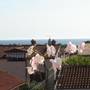 Горящие туры в отель Apartments Miani  - 1