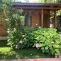 Горящие туры в отель Adabella Pension  - 5
