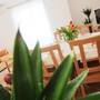 Горящие туры в отель Apartments Luna  - 5