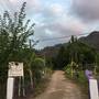 Горящие туры в отель Billur Pension  - 3