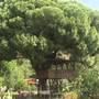 Горящие туры в отель Billur Pension  - 6