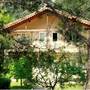 Горящие туры в отель Dionysos Lodge  - 6