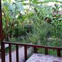 Горящие туры в отель Estelar Hotel  - 6