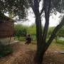 Горящие туры в отель Myland Nature  - 3