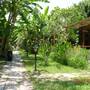Горящие туры в отель Myland Nature  - 4