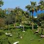 Горящие туры в отель Olympos Lodge - 2