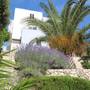 Горящие туры в отель Villa Lavanda  - 5