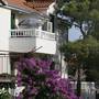 Горящие туры в отель Villa Varos  - 4