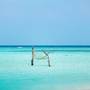 Горящие туры в отель Velavaru Island - 5