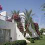Горящие туры в отель Luna Sharm Hotel - 1
