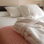 Горящие туры в отель Hotel Marisqueria Cal Tet - 2