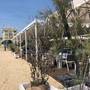 Горящие туры в отель Grand Hotel Cesenatico - 4