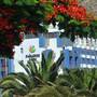 Горящие туры в отель Paradise Park - 6