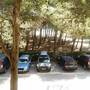 Горящие туры в отель Apartamentos La Pineda  - 5