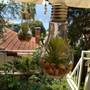 Горящие туры в отель Guest House Tomanovic - 6