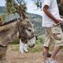 Горящие туры в отель Belmond La Residencia - 2