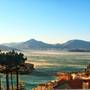 Горящие туры в отель Apartments Adriatic  - 6